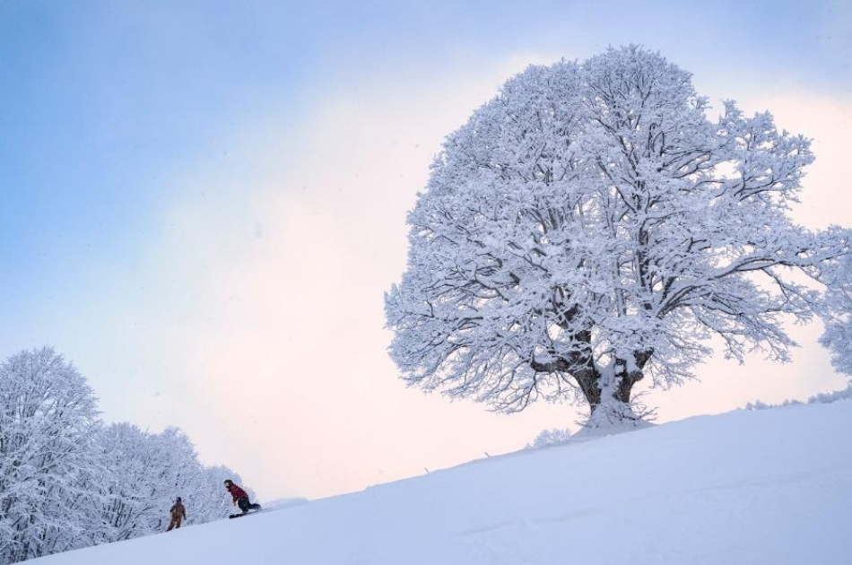 日本妙高-杉之原滑雪場