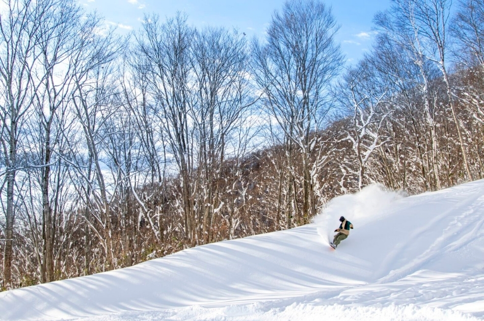 日本妙高-斑尾高原滑雪場
