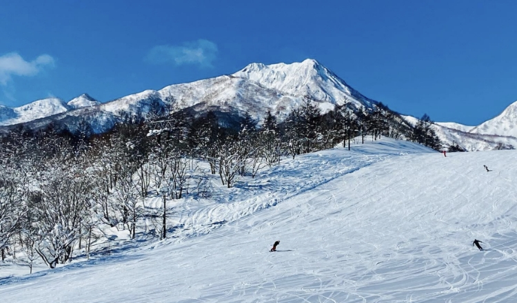 妙高｜赤倉溫泉滑雪場