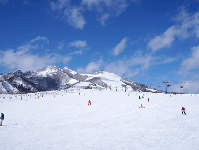 湯澤/魚沼｜岩原滑雪場