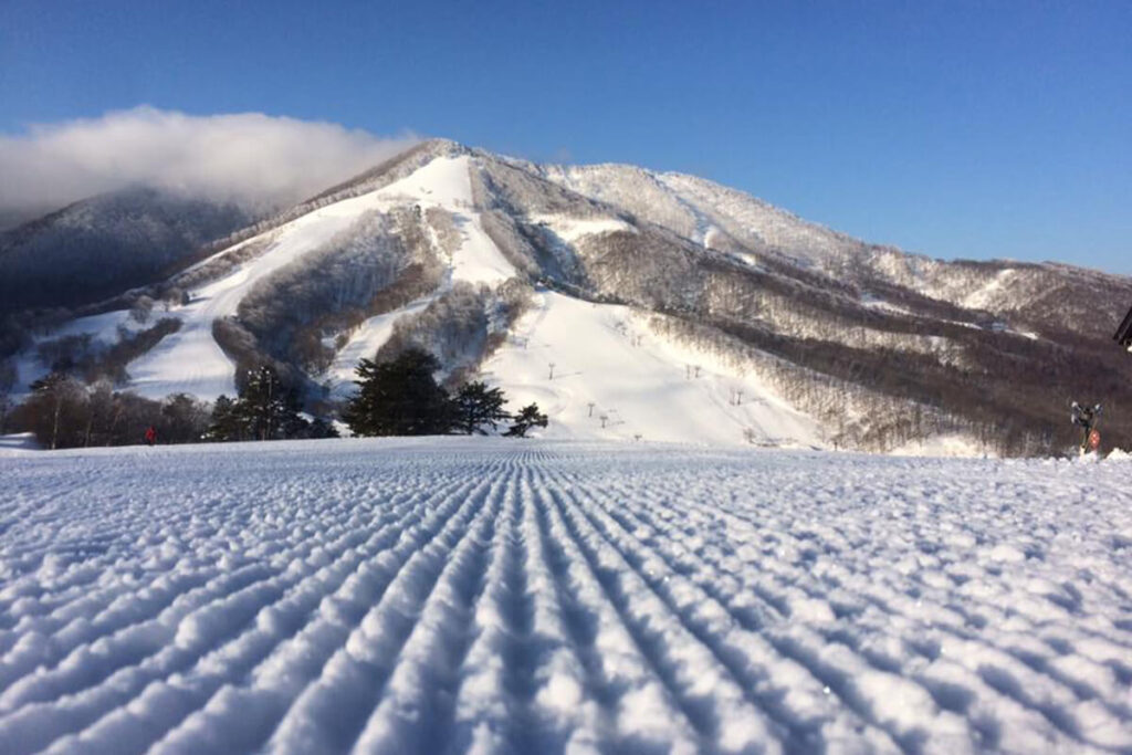 妙高｜斑尾高原滑雪場