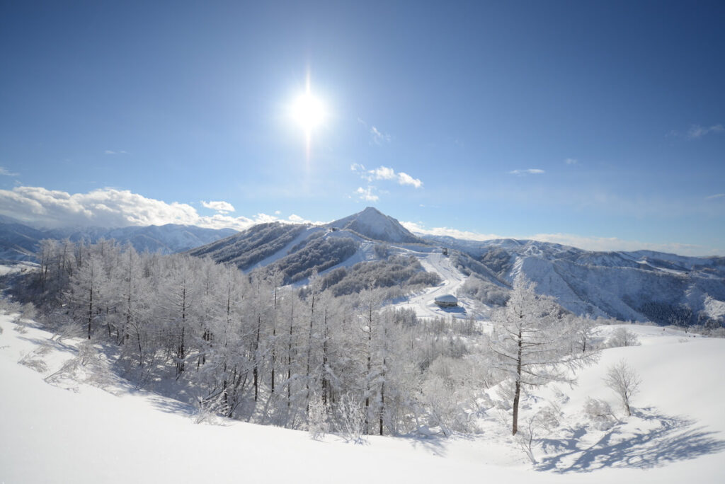  湯澤/魚沼｜舞子滑雪場