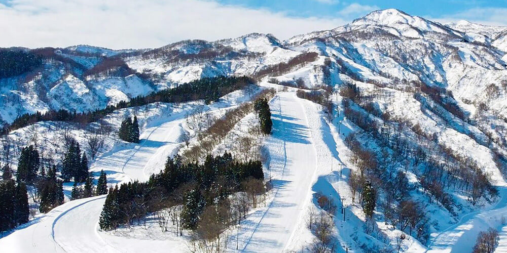 新潟滑雪